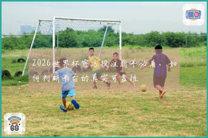 2026世界杯官方投注新手必看，如何判断平台的真实可靠性