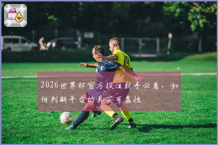 2026世界杯官方投注新手必看，如何判断平台的真实可靠性