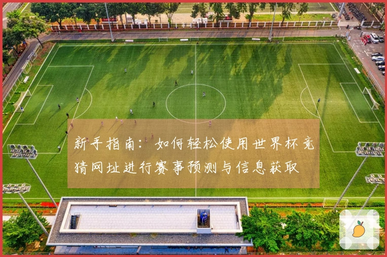新手指南：如何轻松使用世界杯竞猜网址进行赛事预测与信息获取