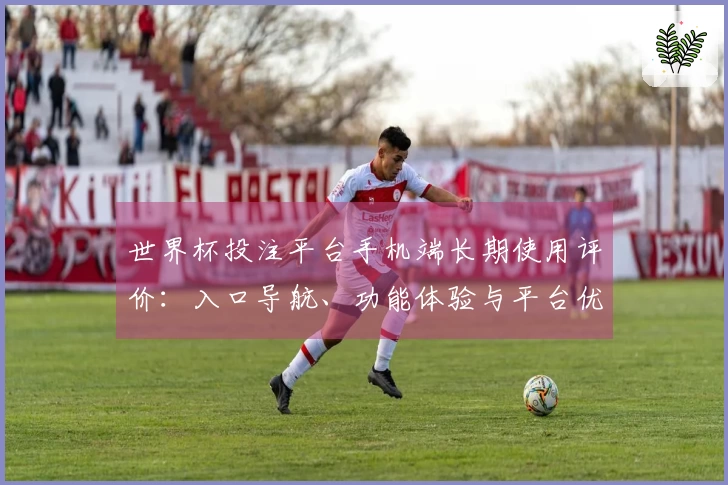 世界杯投注平台手机端长期使用评价：入口导航、功能体验与平台优劣全方位解读