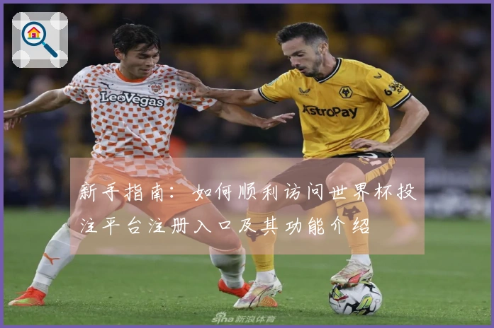 新手指南：如何顺利访问世界杯投注平台注册入口及其功能介绍
