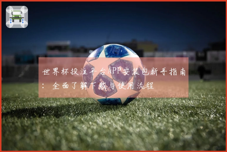 世界杯投注平台APP安装包新手指南：全面了解下载与使用流程