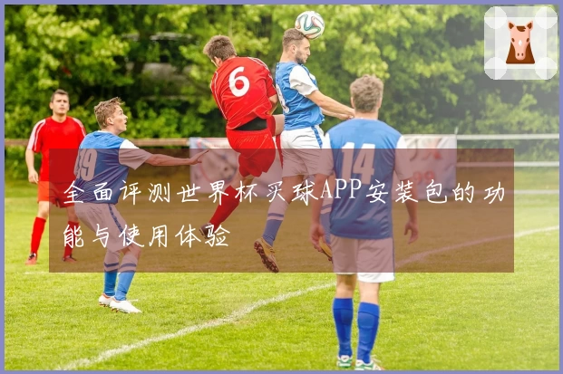 全面评测世界杯买球APP安装包的功能与使用体验