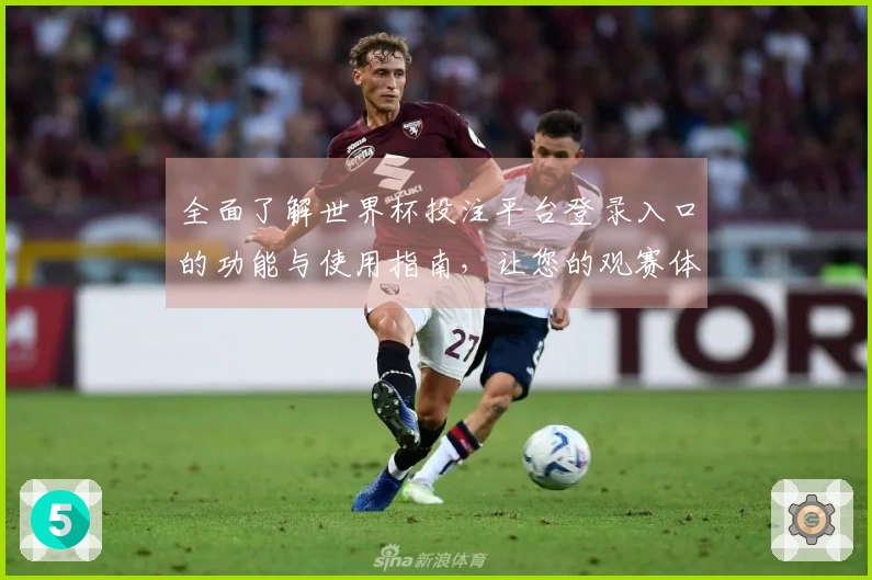 全面了解世界杯投注平台登录入口的功能与使用指南，让您的观赛体验更为顺畅
