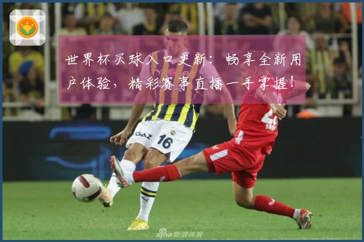世界杯买球入口更新：畅享全新用户体验，精彩赛事直播一手掌握！
