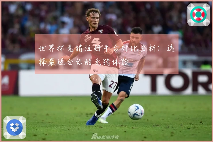 世界杯竞猜注册平台对比分析：选择最适合你的竞猜体验