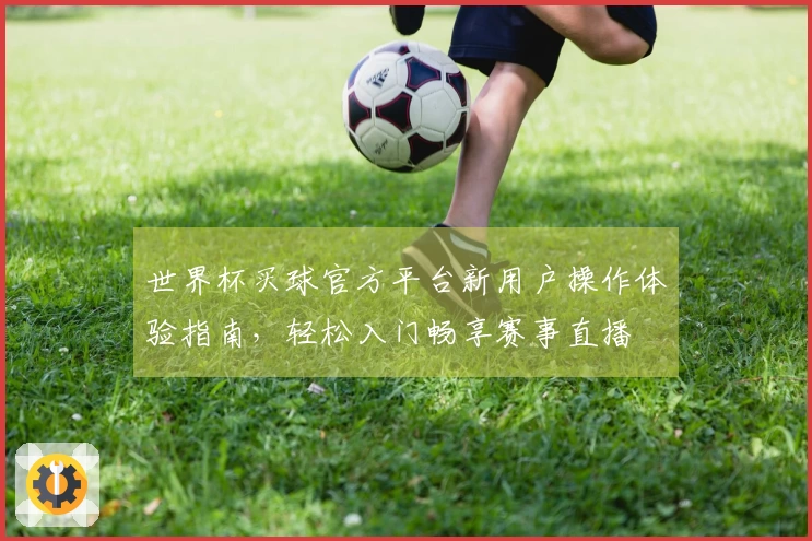 世界杯买球官方平台新用户操作体验指南,轻松入门畅享赛事直播