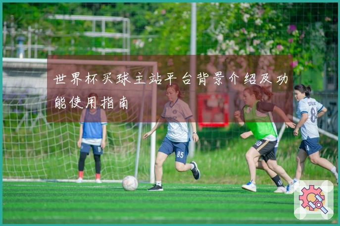 世界杯买球主站平台背景介绍及功能使用指南